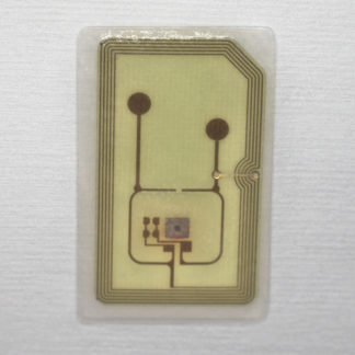 Converted payment micro-card chip implant